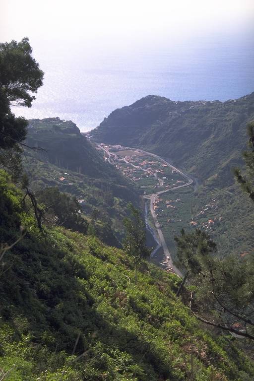 Madeira2.jpg (58855 bytes)